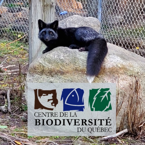 Centre_Biodiversité-1