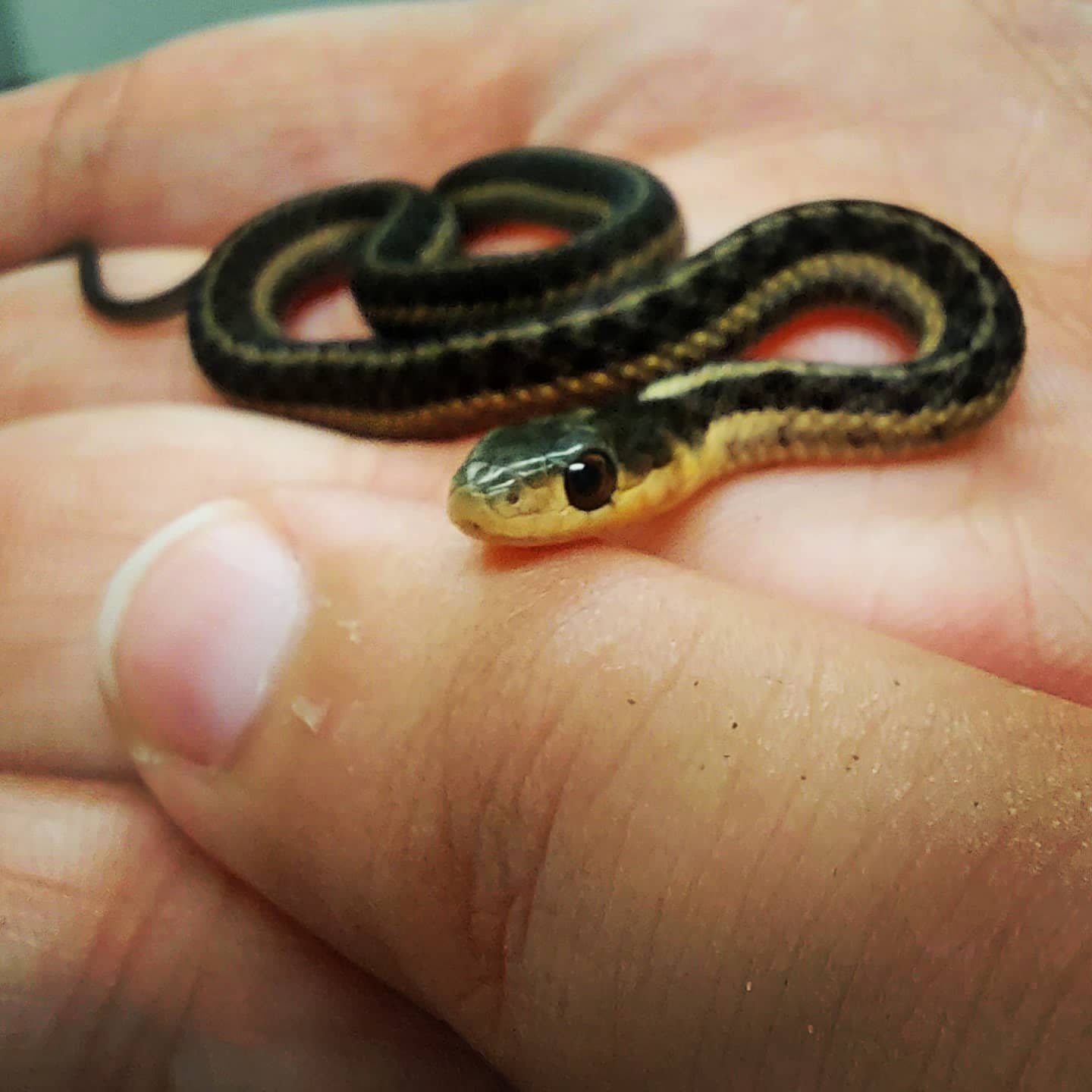 Centre_Biodiversité-5