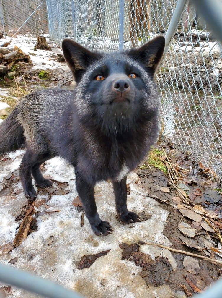 Centre_Biodiversité-8